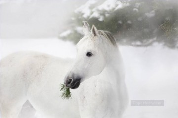 動物 Painting - 松の木と雪の上の白い馬の肖像画